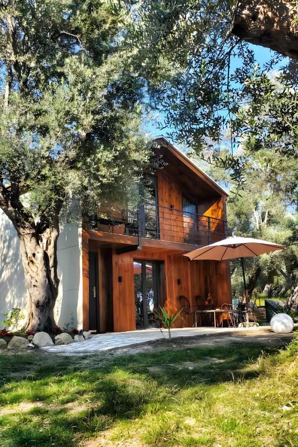 Coratina Cottage Улцинь Екстер'єр фото